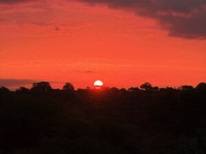 A pinkish sunrise over Tarangire National Park, from Tarangire Safari Lodge