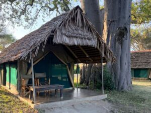 A tent at Tarangire Safari Lodge