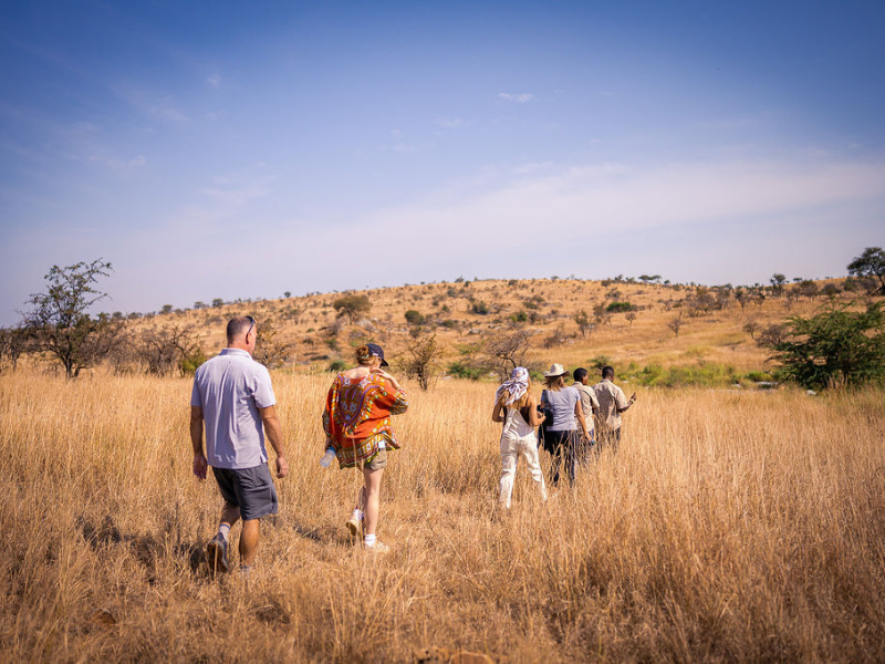 Guests following experienced guides on a walking safari through the African savanna