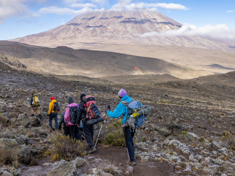 Group of climbers trekking Mount Kilimanjaro across the alpine desert landscape