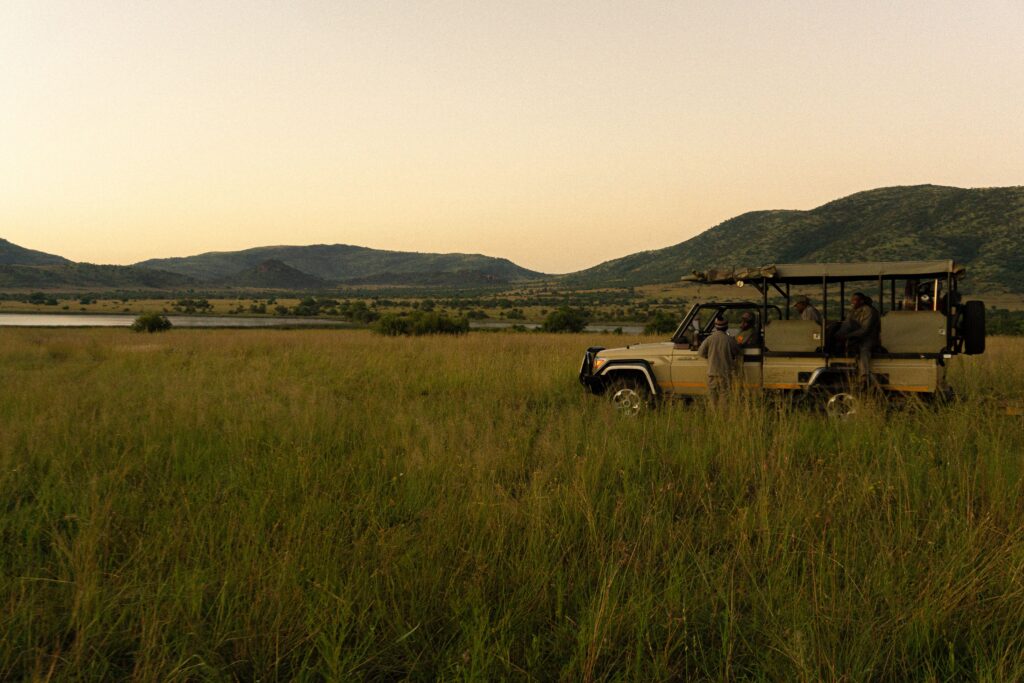 Self-Drive Safari vs. Guided Safari: Which One Is Right for You? 1