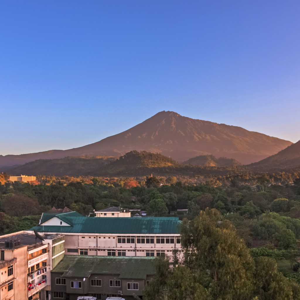 The best warm-up for a safari