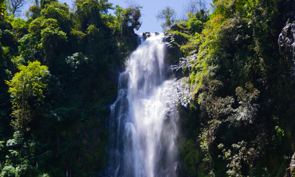 Materuni waterfalls coffee tour — tall waterfall cascading through lush rainforest on the slopes of Mount Kilimanjaro, Tanzania