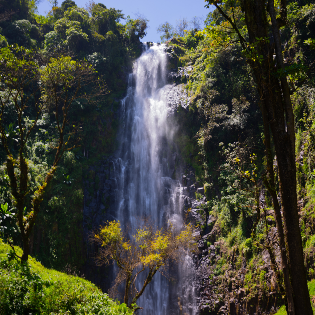 A waterfall worth the walk