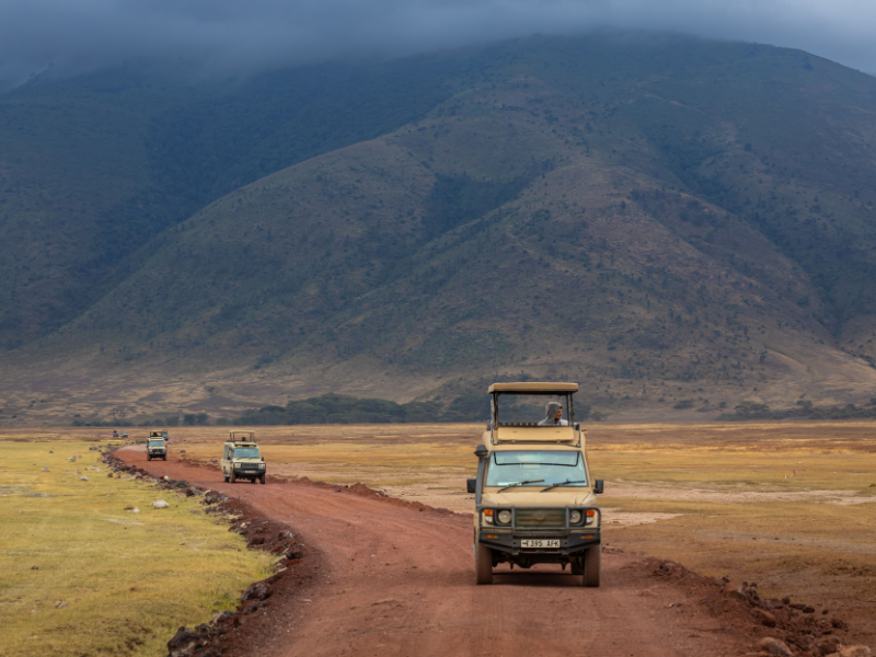 What Your Safari Tour Operator Should Be Doing Behind the Scenes (And How to Tell If They Are) 4 What Your Safari Tour Operator Should Be Doing Behind the Scenes (And How to Tell If They Are) 3