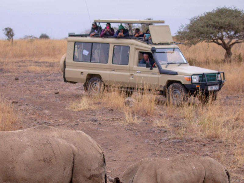 What Your Safari Tour Operator Should Be Doing Behind the Scenes (And How to Tell If They Are) 3 What Your Safari Tour Operator Should Be Doing Behind the Scenes (And How to Tell If They Are) 2